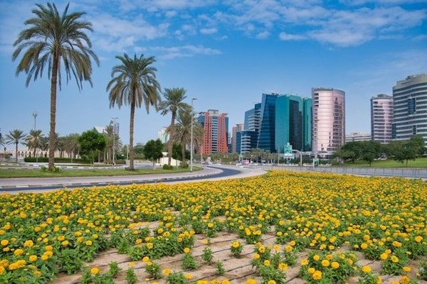 How Can UK Residents Participate in Wildlife Conservation Initiatives?