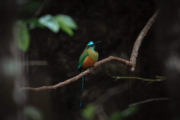 Can Cognitive Behavioral Therapy Be Effectively Delivered Through Digital Platforms for Anxiety Management?